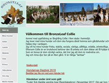 Tablet Screenshot of bronzeleaf.se
